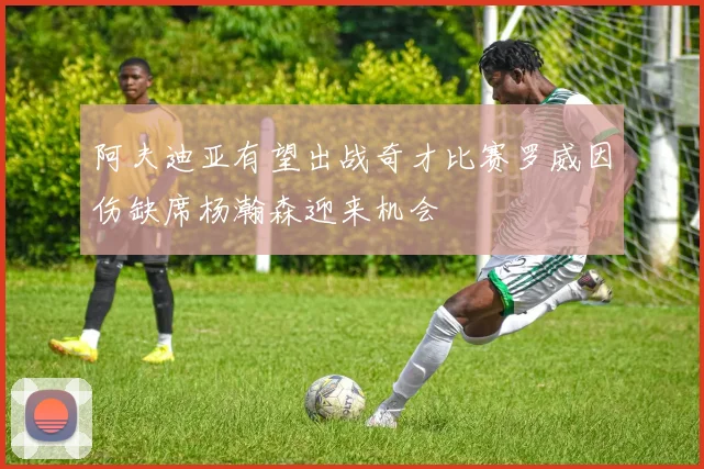 阿夫迪亚有望出战奇才比赛罗威因伤缺席杨瀚森迎来机会